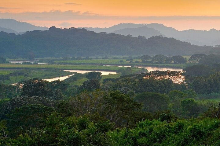 Carara National Park and Crocodile River Cruise - Photo 1 of 12